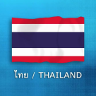 flag vn