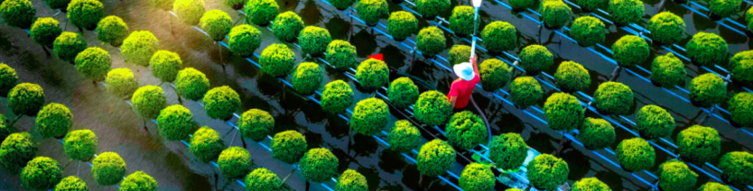 Top 7 Unmissable Destinations In Mekong Delta, Vietnam