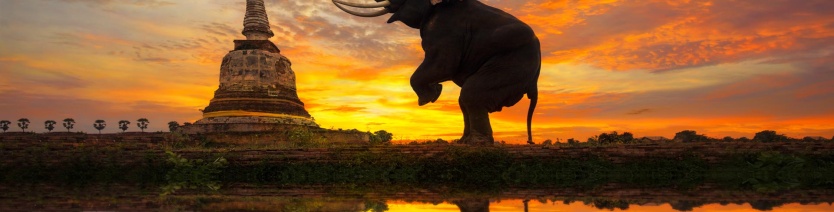 Where To Stay In Halong Bay? Here Is Your Answer!