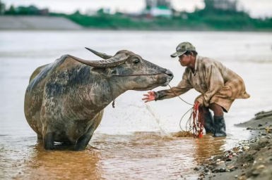 LAOS, PEUPLES DU MÉKONG 
