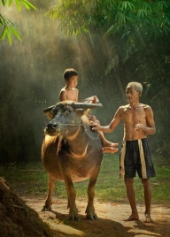 Hors des sentiers battus