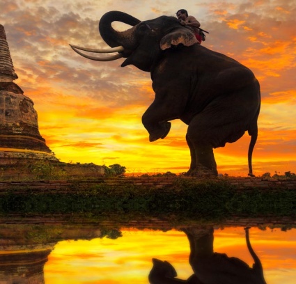 Where To Stay In Halong Bay? Here Is Your Answer!