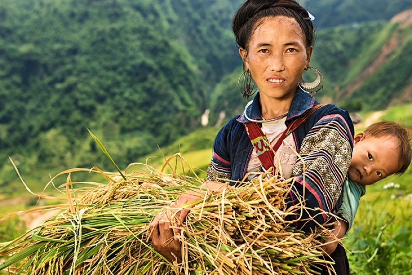 Halong Bay and Sapa Package Trip 7 Days 6 Nights 