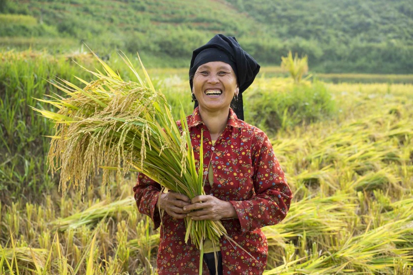 Vietnam Wonders Trip 3 weeks 21 Days 20 Nights