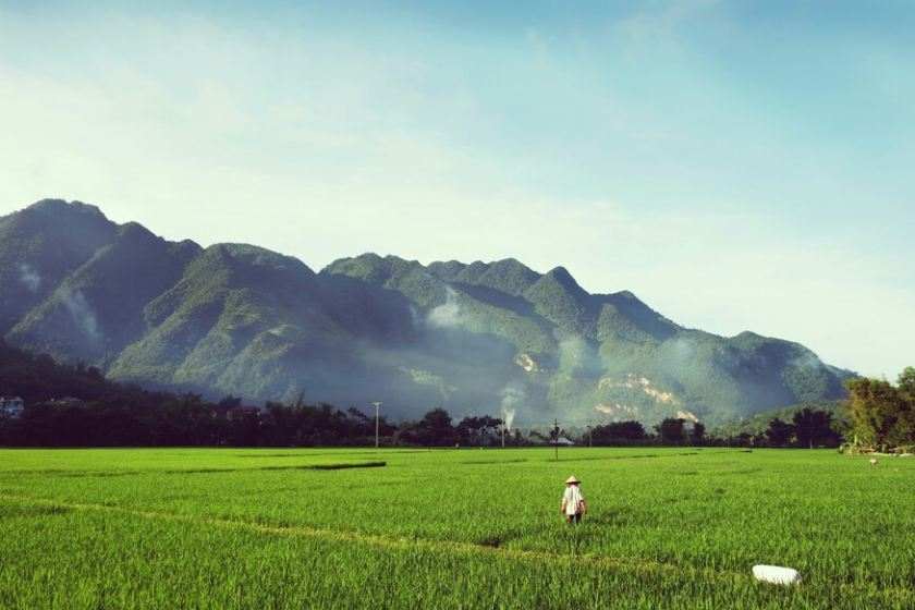 Mai Chau