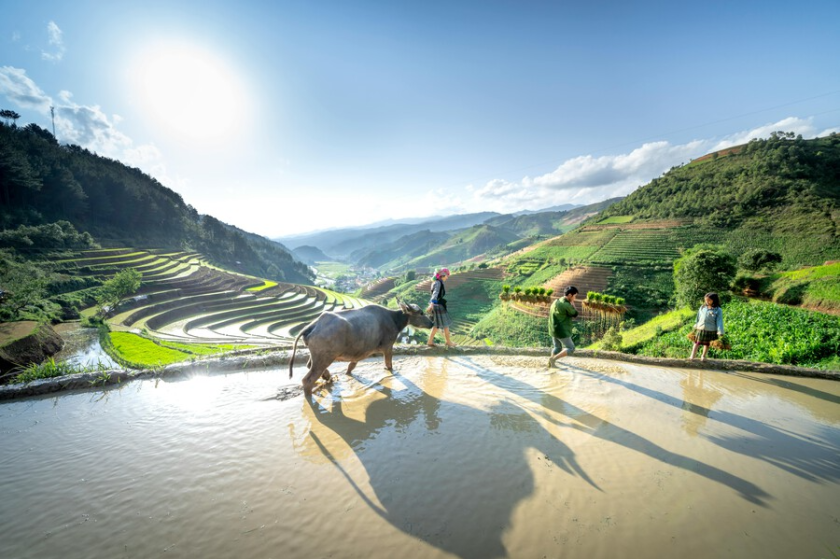 DU TRIUS DU HAUT TONKIN AU DELTA DU MEKONG