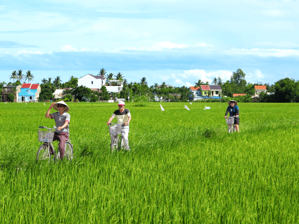 11-Best-things-to-do-in-Hoi-An-in-2026